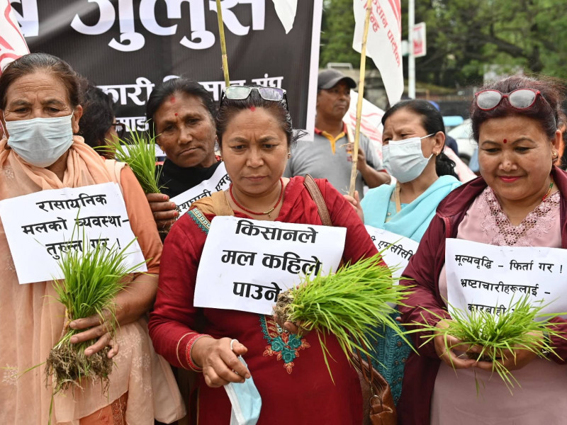 हलो र धानको बिउसहित किसानको प्रदर्शन (फोटो फिचर) 